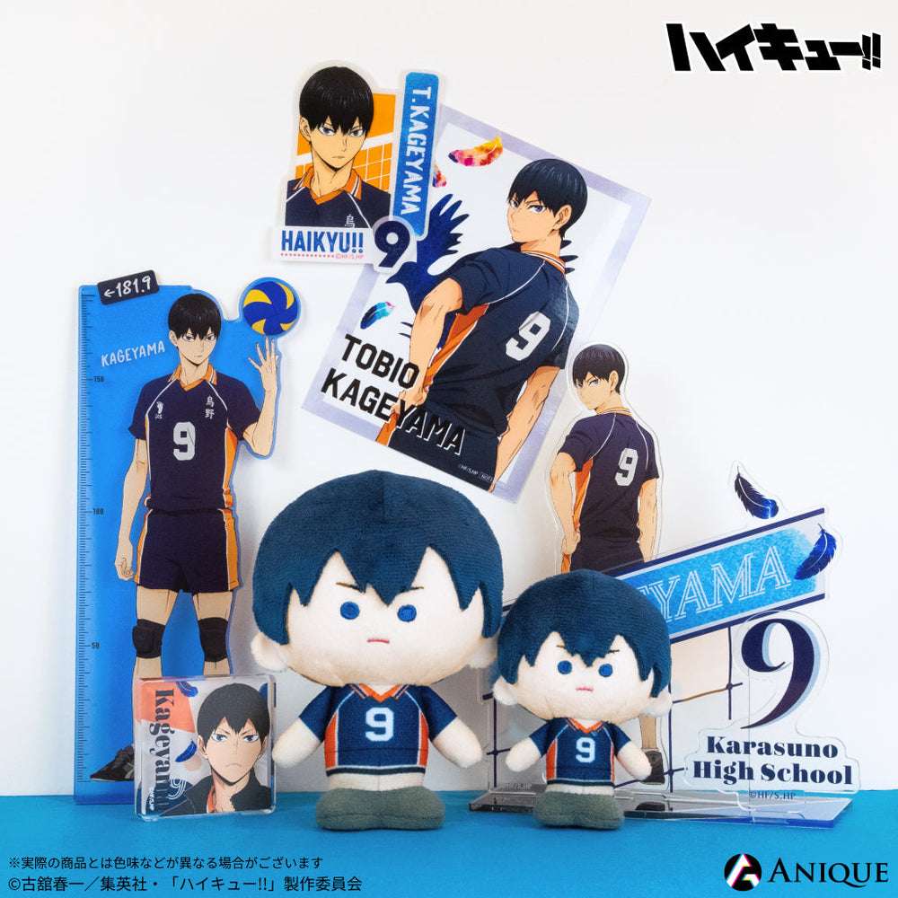 chara_2_kageyama_4cd50e85-d9da