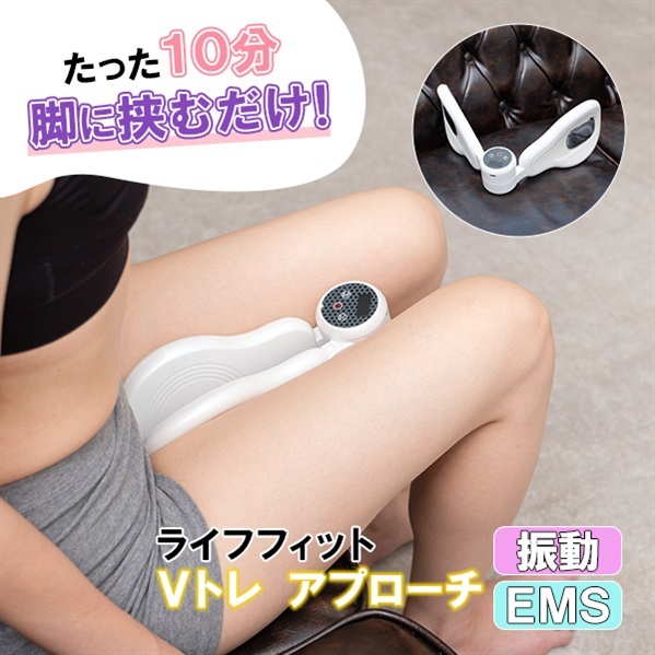 ライフフィット デュアルエクサウ V 中古品 デュアルエクサV 通販