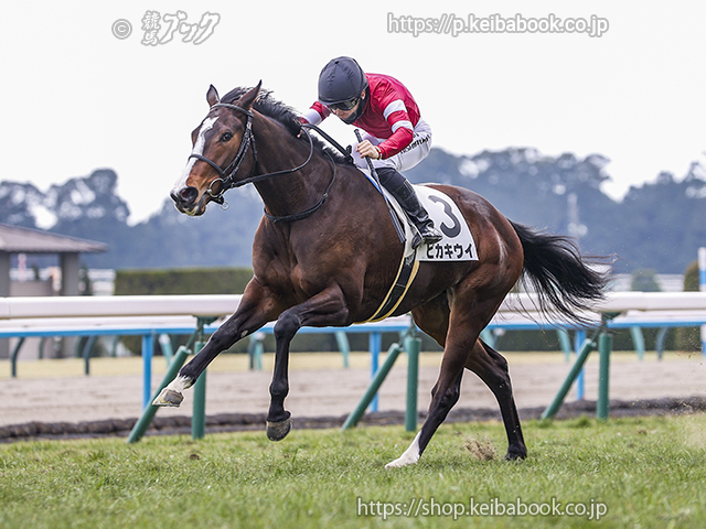 競馬ブックネットSHOP / カラープリント(アルミ枠付き)