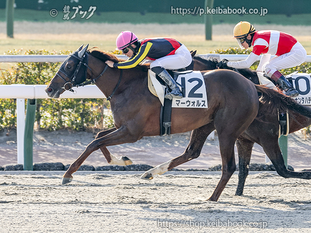 競馬ブックネットSHOP / カラーパネル