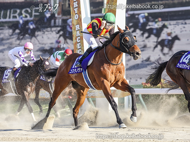 競馬ブックネットSHOP / カラープリント(アルミ枠付き)