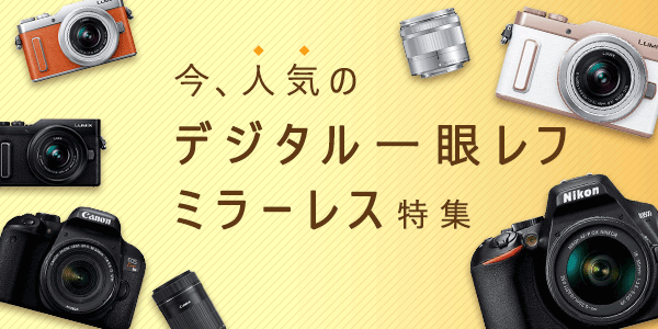 カメラを始めようと考えている方へおすすめ！各メーカーのデジタル一眼