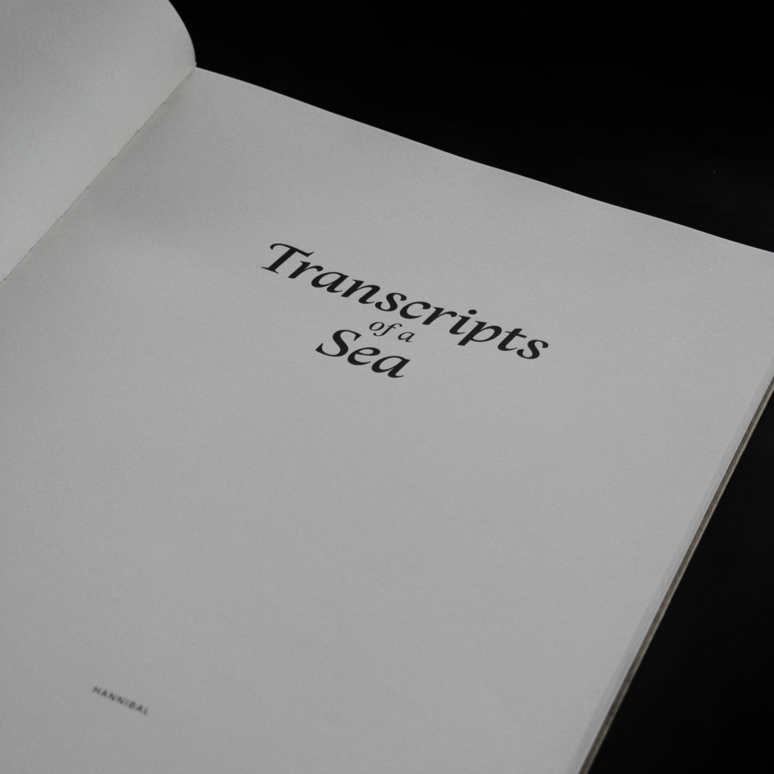 STEPHAN VANFLETEREN: Transcripts of a Sea – Gallery Fifty One