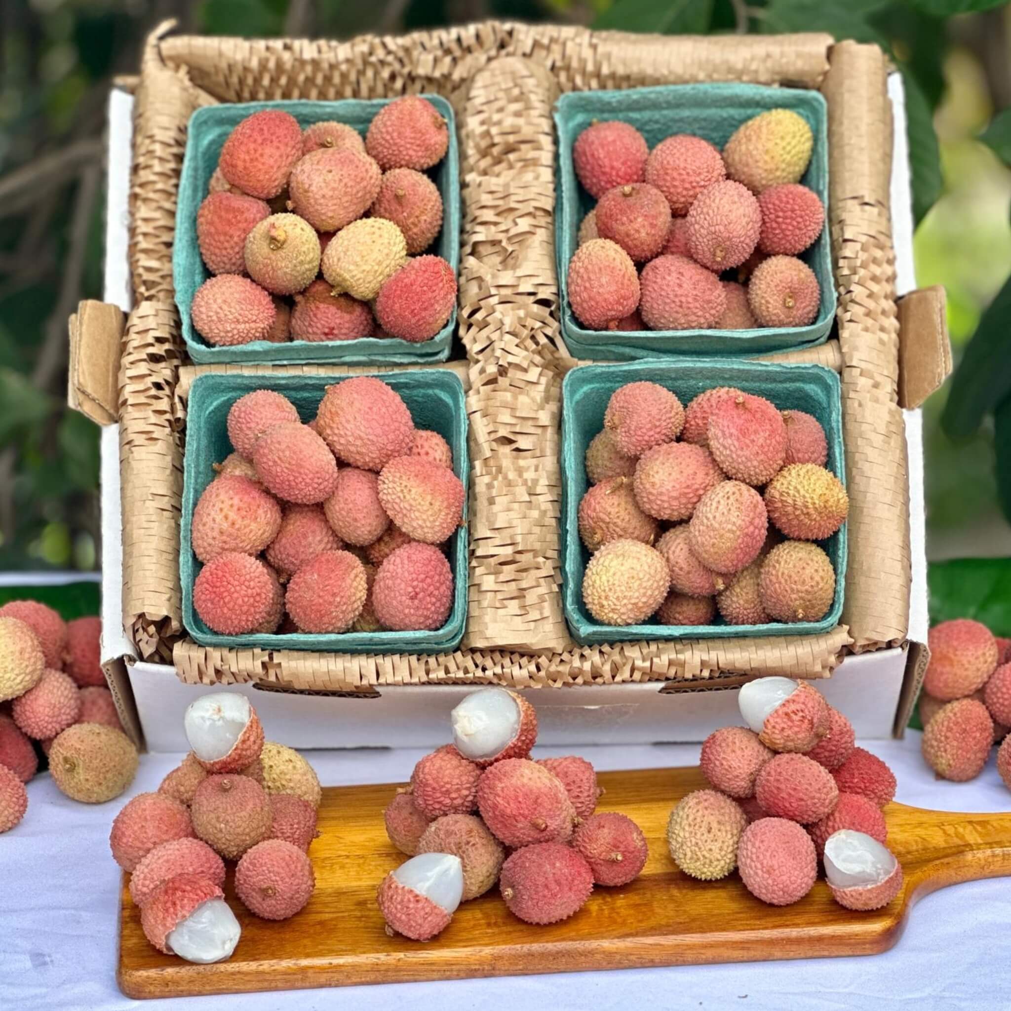 Lychee – Good Hill Farms