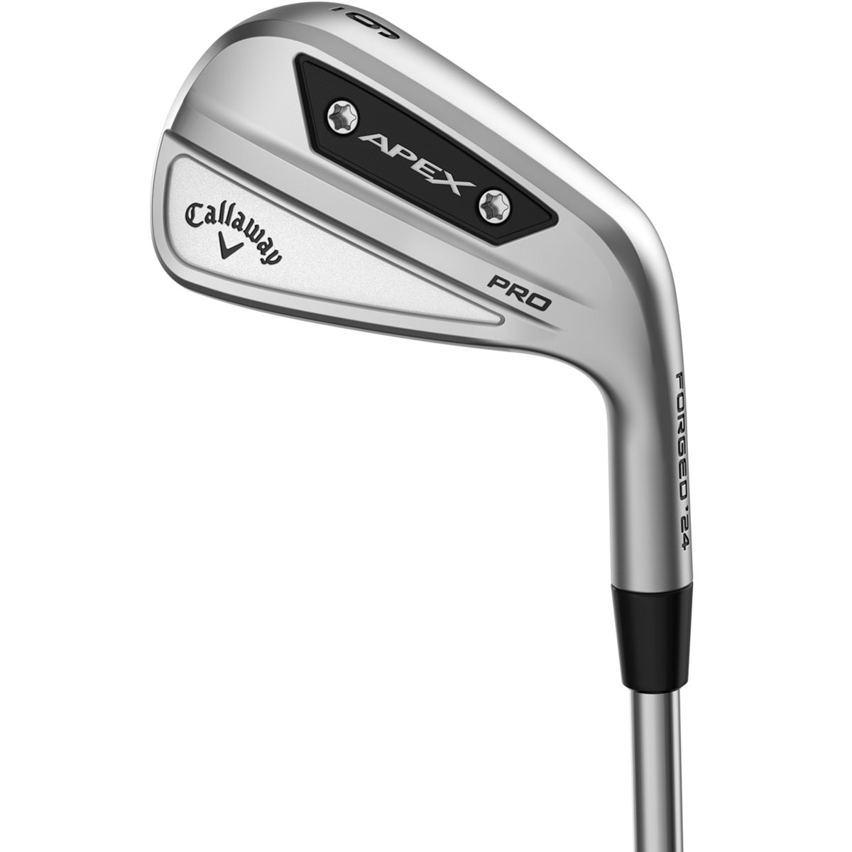 APEX PRO 24 アイアン(6本セット) ダイナミックゴールド MID115