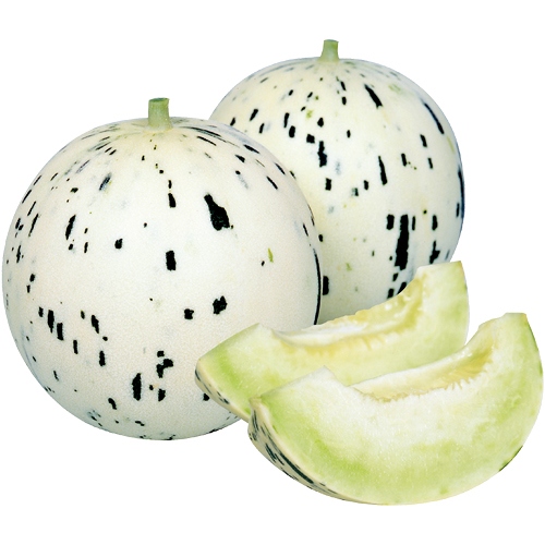 メロン・月しずく| 種・苗・ガーデニング用品の【タキイネット通販】