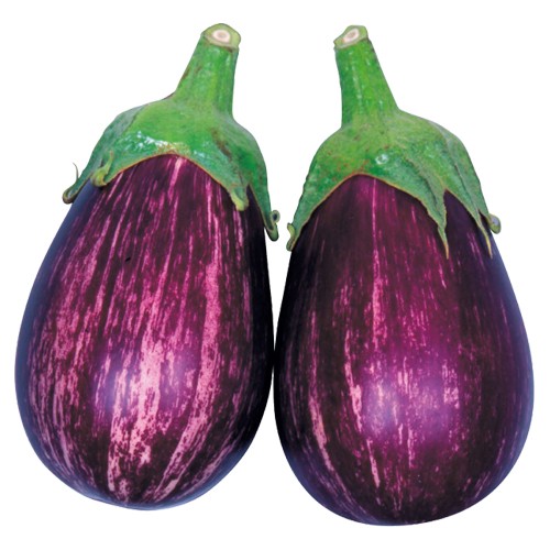 ナス・縞むらさき| 種・苗・ガーデニング用品の【タキイネット通販】