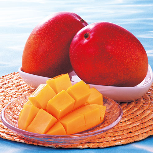 マルシェ 宮崎県産 完熟マンゴー| 種・苗・ガーデニング用品の【タキイ