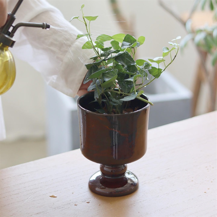 鉢・ポットの商品一覧｜てんとてん｜インテリア雑貨・食器