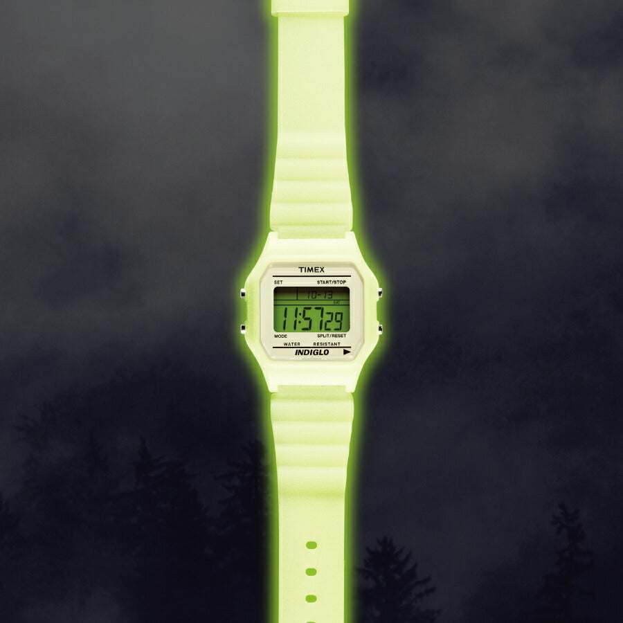 タイメックス T80 グローインザダーク オール蓄光素材 日本限定モデル