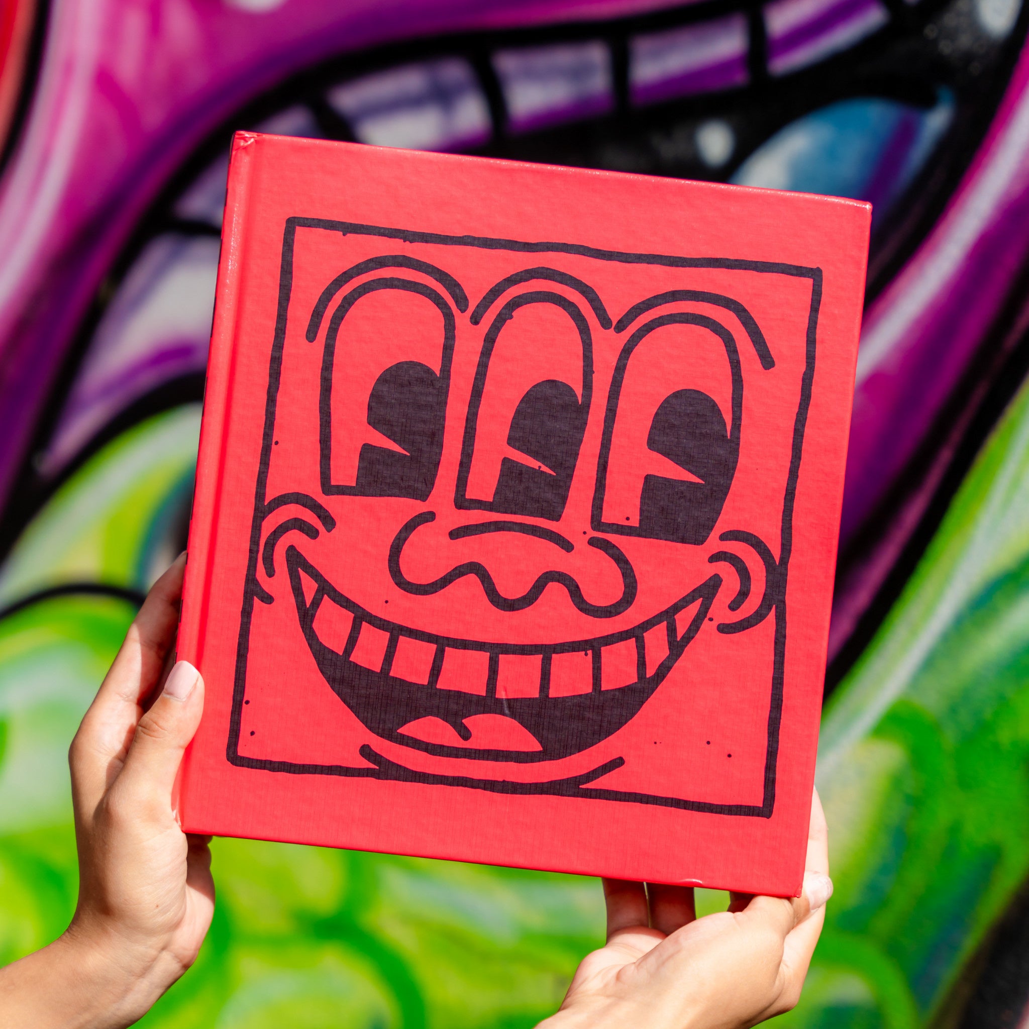 Keith Haring (Rizzoli Classics) – The Wynwood Walls Shop