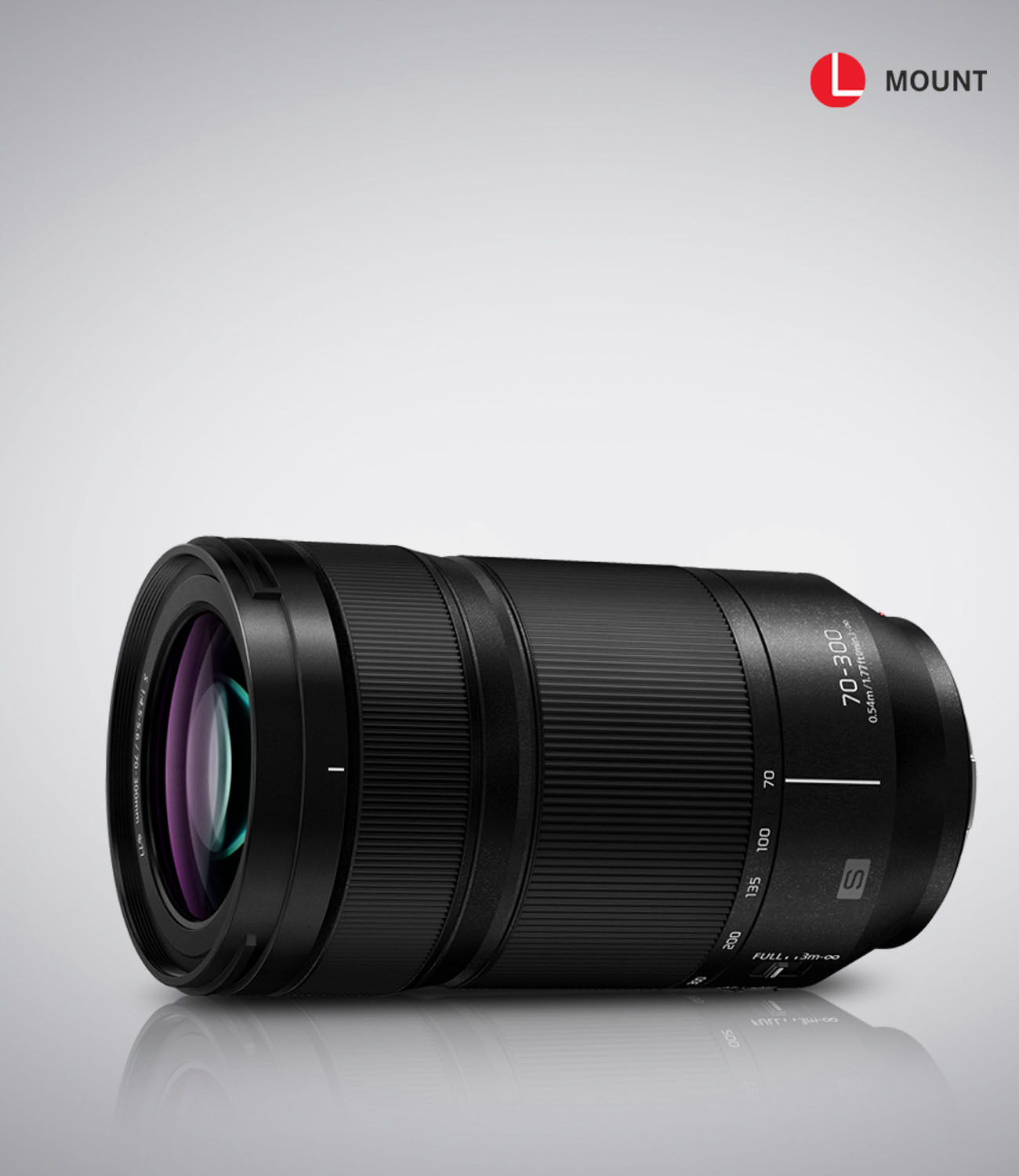 Panasonic LUMIX S Series 70-300mm F4.5-5.6 MACRO L-Mount Lens - S