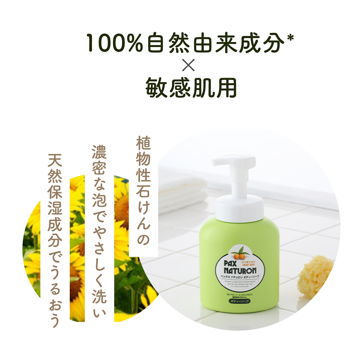 パックスナチュロン ボディーソープ 500ml×12 | PAX NATURON Online Shop