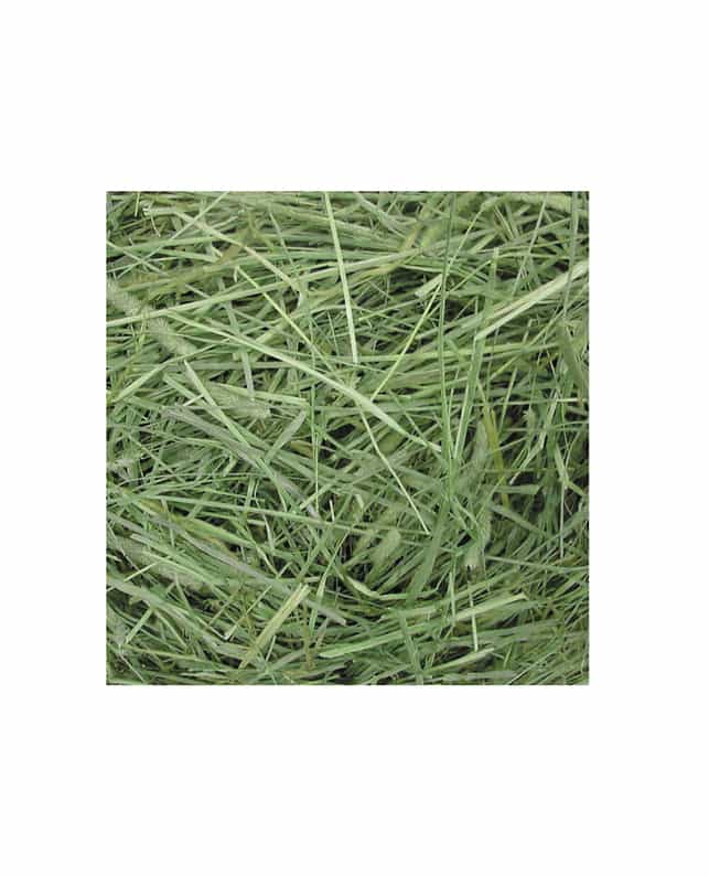 GEX ラビットプレミアムチモシー 500g（4972547010384）｜その他ペット