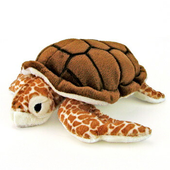 楽天市場】カメ ぬいぐるみ アオウミガメ Mサイズ | 水族館 亀 カメ 海