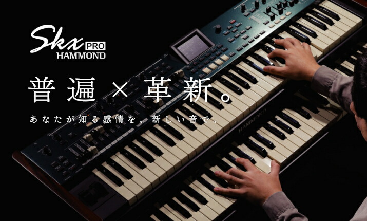 楽天市場】HAMMOND 《ハモンド》 FS-10TL フットスイッチ [FS10TL