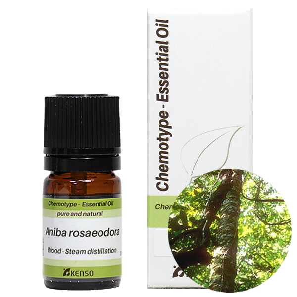 楽天市場】プラナロム ティートゥリー 10ml プラナロム アロマオイル