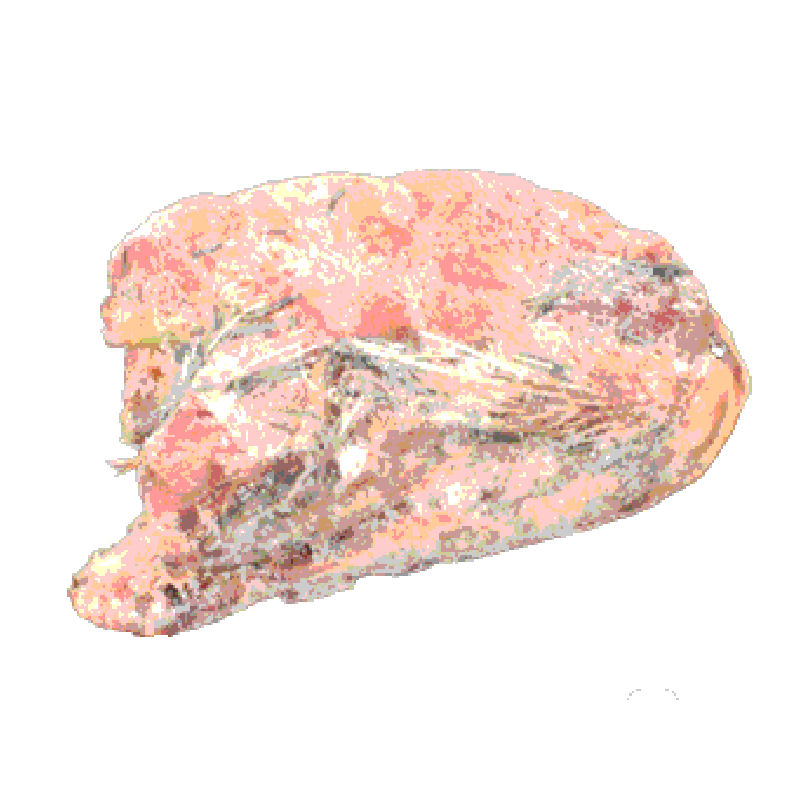 楽天市場】【冷凍】冷凍ウズラ アダルト 10羽（T2）【クール便発送