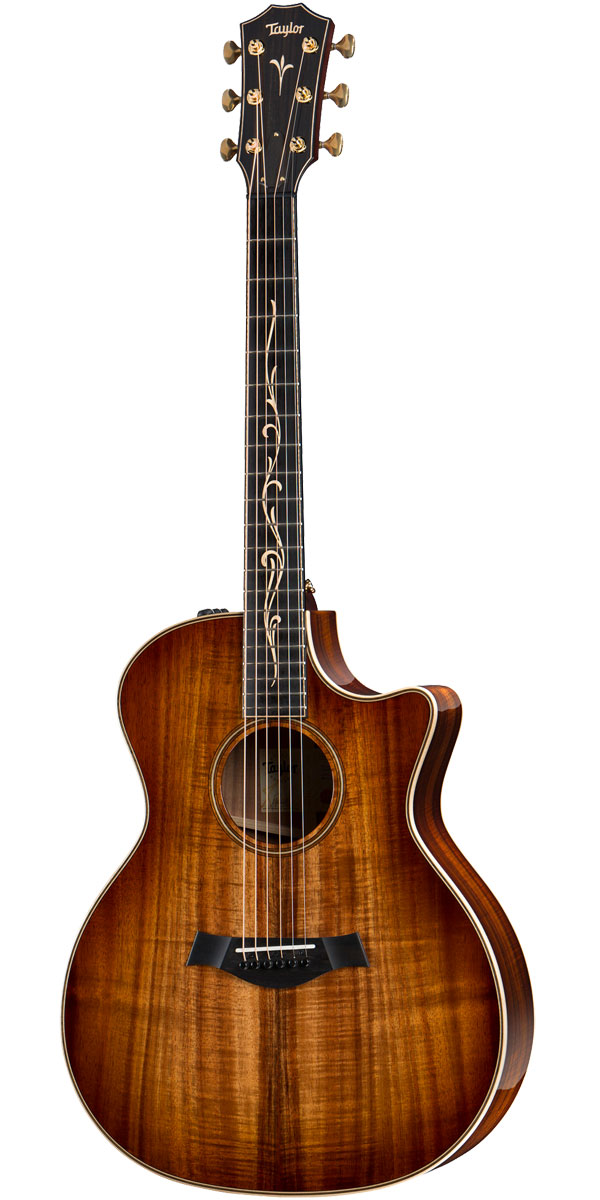 楽天市場】Taylor（テイラー）224ce Koa DLX : STARROW ONLINE STORE