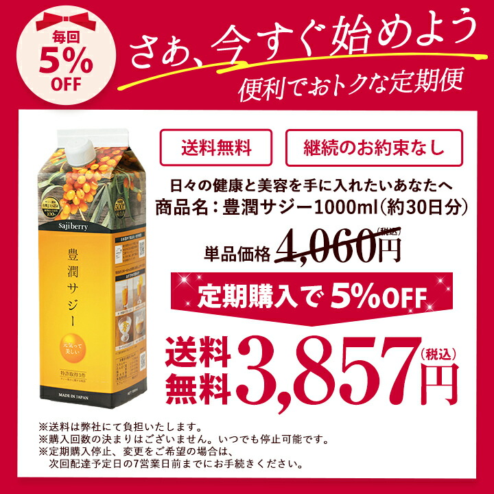 豊潤サジー 1000ml サジージュース【紙パックタイプ】 公式 フィネス