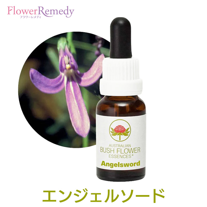 楽天市場】メディテーション（瞑想）《オーストラリアンブッシュ