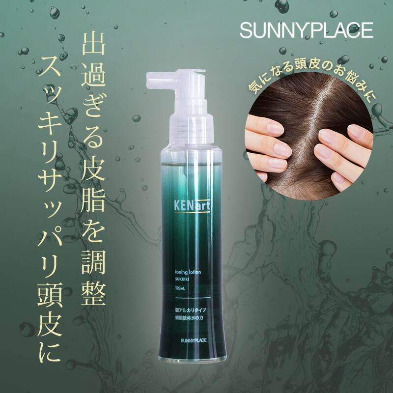 楽天市場】【LINE登録で300円クーポン】サニープレイス ケンアート