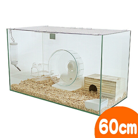 楽天市場】ルーミィ60 ベーシック【一度のご注文で1個まで】 : 小動物