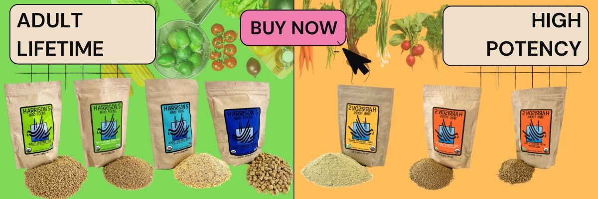 楽天市場】賞味期限 2026年5月 ◎ ハリソン バードフード ハイ