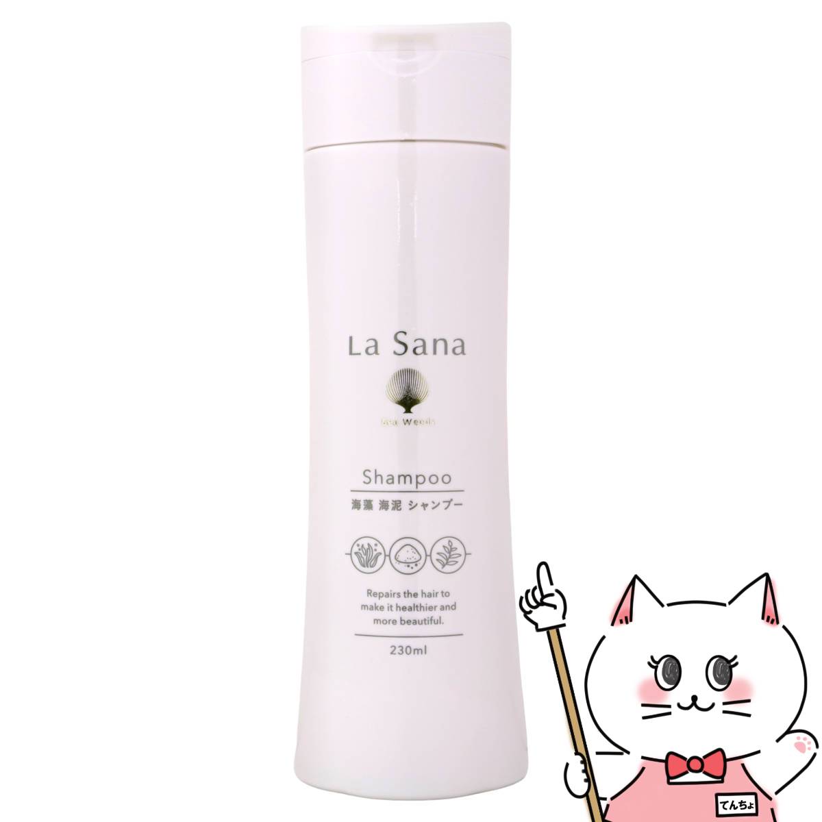 楽天市場】【最大400円OFFクーポン】【セット】ラサーナ海藻海泥セット