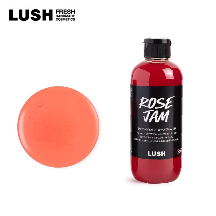 楽天市場】公式 LUSH ダーティスプリングウォッシュ ボディソープ