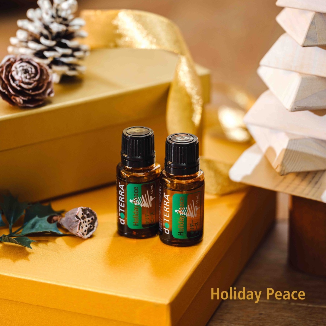 在庫限り＞ドテラ doTERRA ソフィーディフューザーセット ギフト