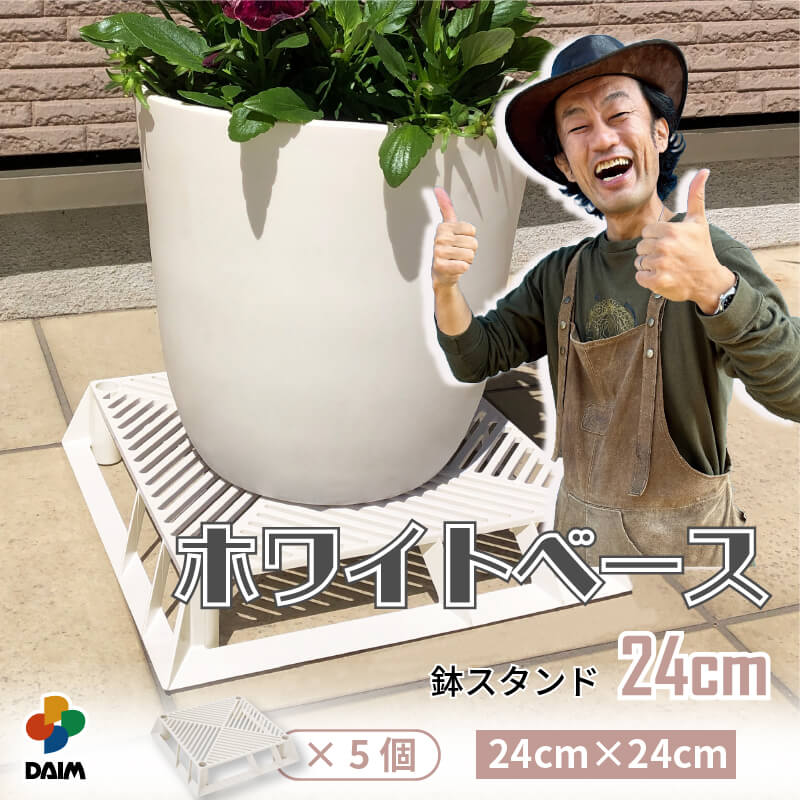 楽天市場】【カーメン君×daim コラボ】daim ホワイトベース 28cm