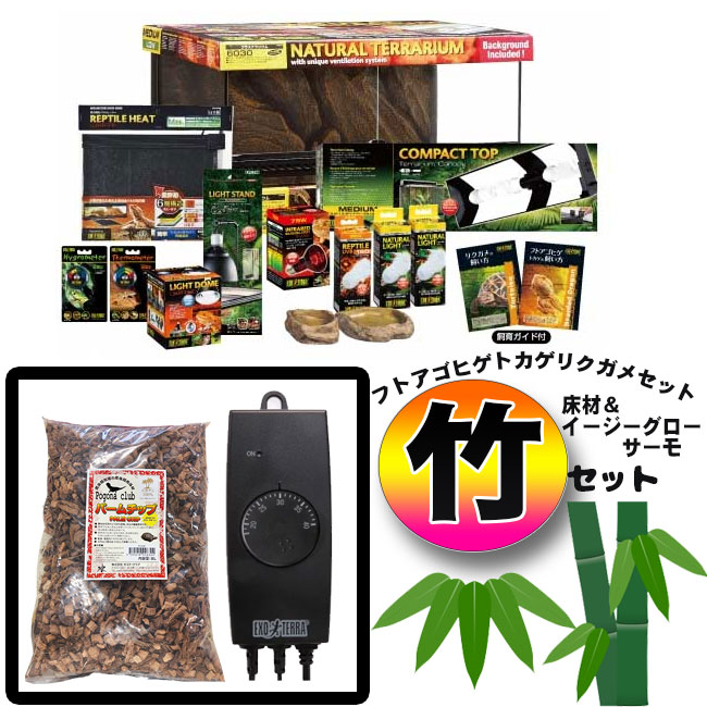 楽天市場】【初心者向け】フトアゴヒゲトカゲ＆リクガメ飼育セットA