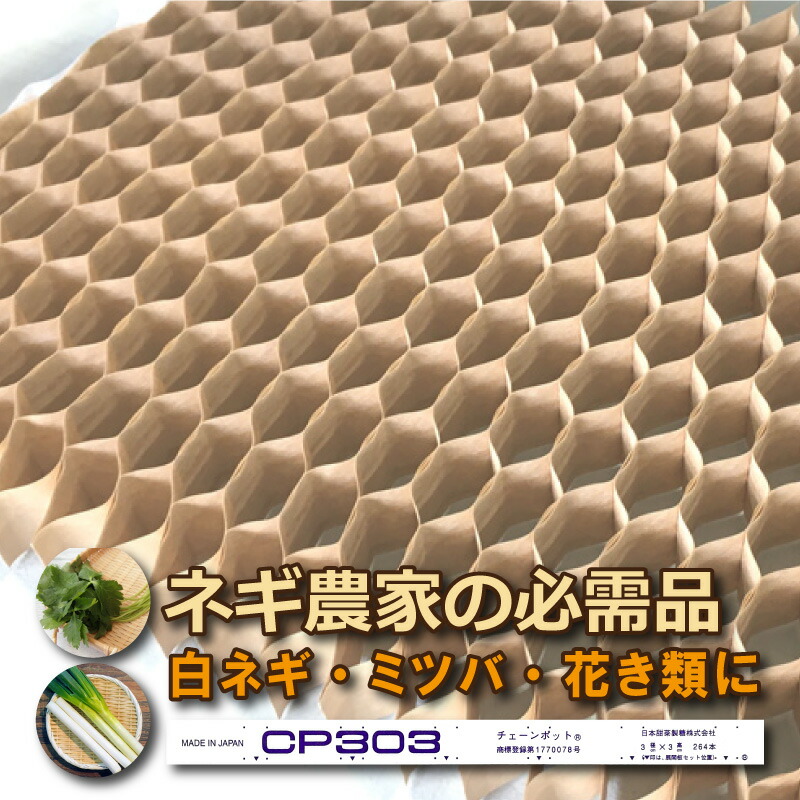 楽天市場】【100%ポイントバック エントリー＆抽選2/25まで】チェーン