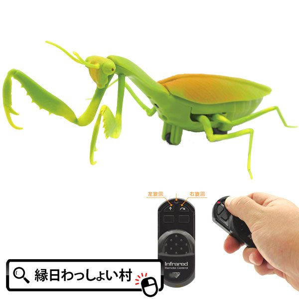 楽天市場】ラジコン 赤外線RCカマキリ ラジコンカー 虫 昆虫 かまきり