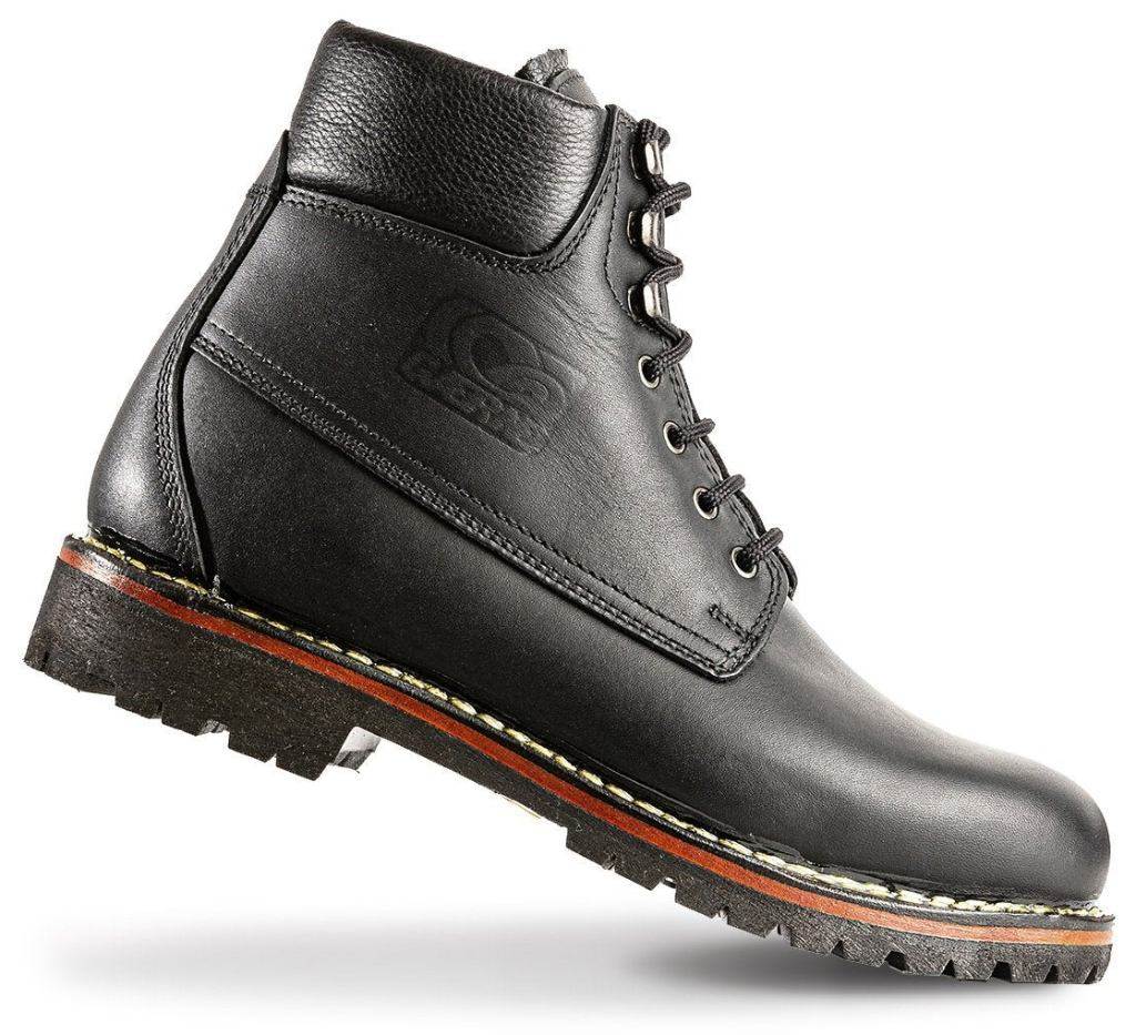 楽天市場】☆【GAERNE】ガエルネ FUGA フーガ《グリーン》 《2721010