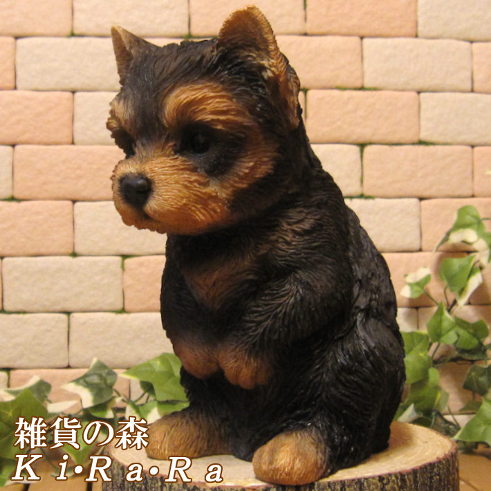 楽天市場】犬の置物 ヨークシャーテリア ヨーキー 子犬 リアルな犬の