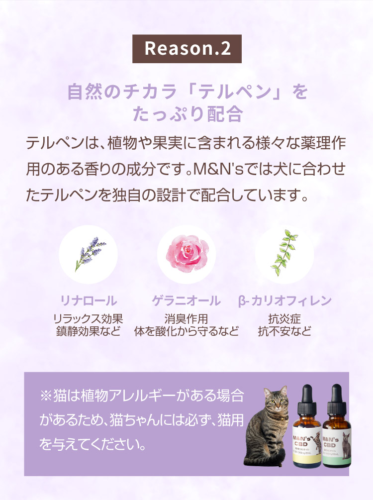 M&N's 犬用CBD10% オイル テルペンプラス（パープル） | WELLPHARMA