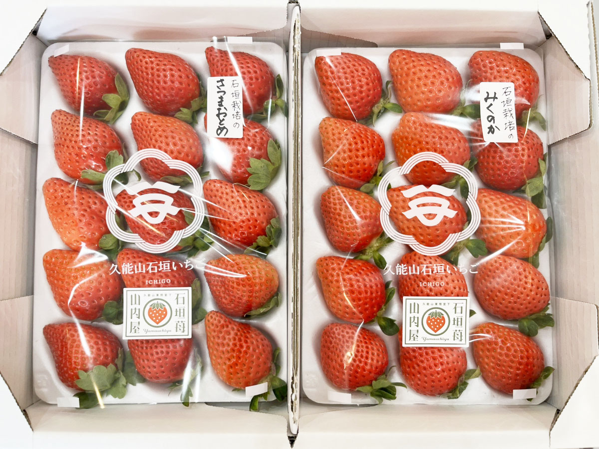 久能山石垣いちごデラックス（みくのか・さつまおとめ）【1～2箱セット