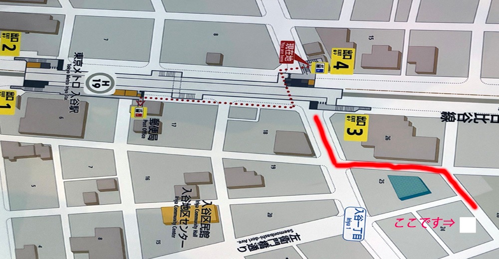 世界最高峰アルティメットミカカブクワ