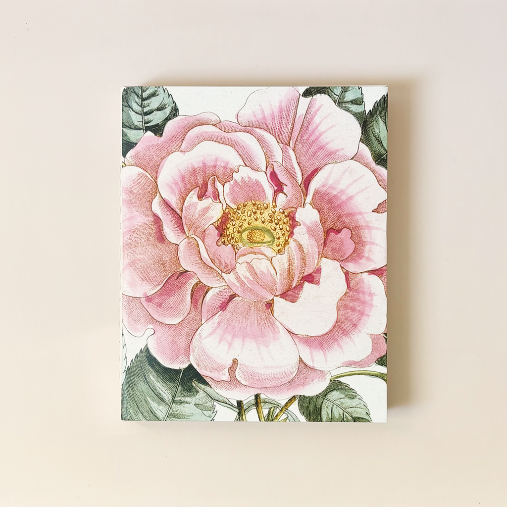 John Derian Picture Book II – Holliday