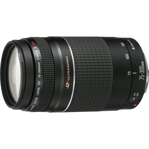 キヤノン EF 75-300/4-5.6 III USM | 交換レンズ