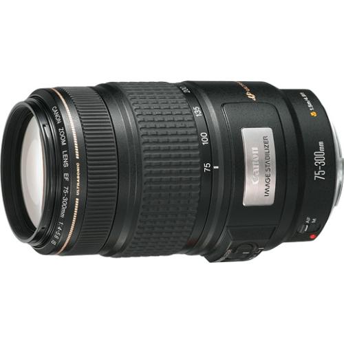 キヤノン EF 75-300/4-5.6 IS USM | 交換レンズ