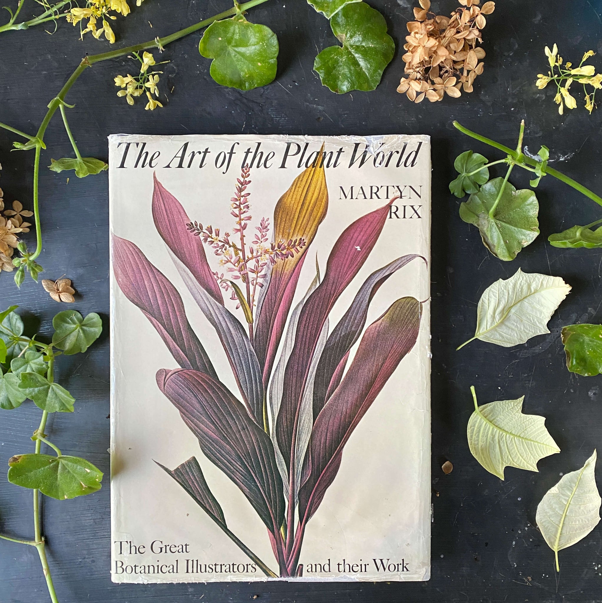 Vintage 1980s Botanical Art Book - The Art of The Plant World