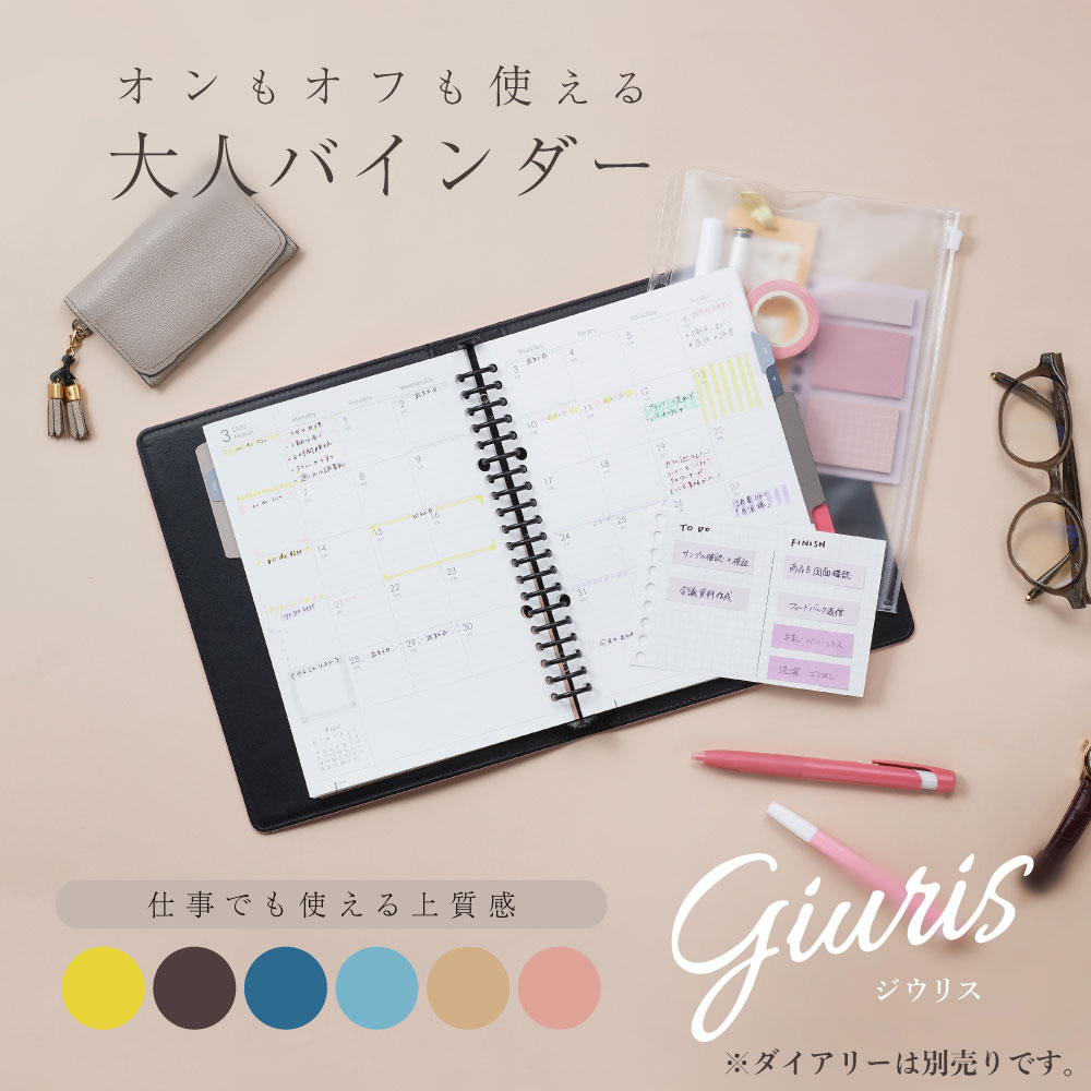 maruman（マルマン） バインダー A5 ファイルノート ジウリス 全6色 20