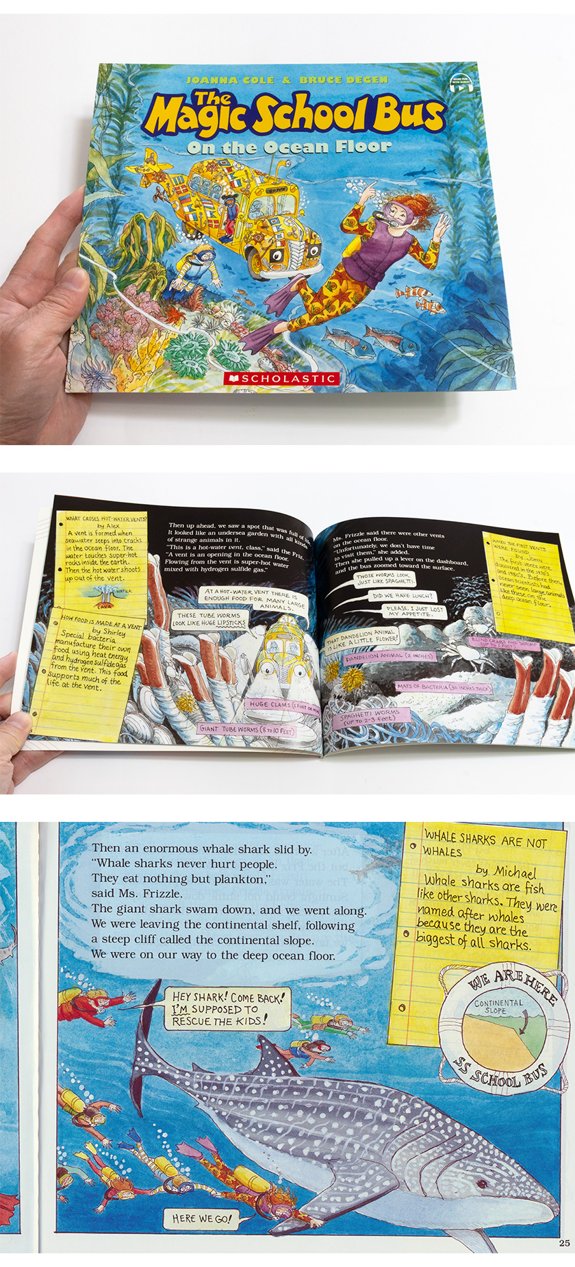 Scholastic The Magic School Bus ベストセレクション 英語絵本6冊BOX