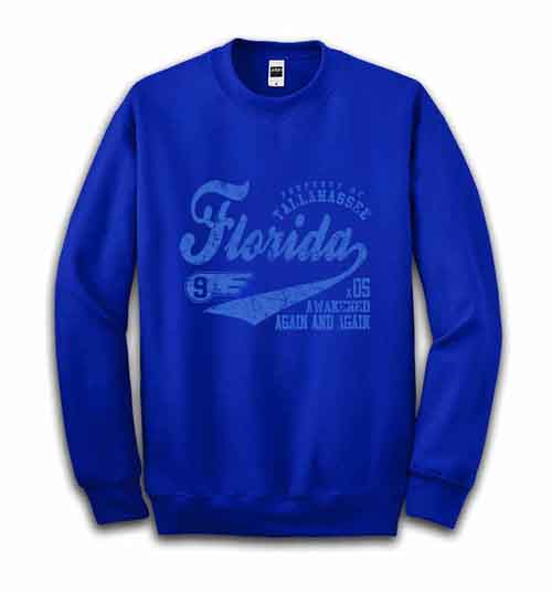フロリダ カレッジロゴ】メンズ スウェット スエット トレーナー : FOX