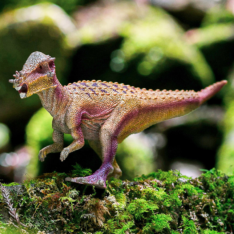 シュライヒ Schleich 15024 パキケファロサウルス Dinosaurs 恐竜