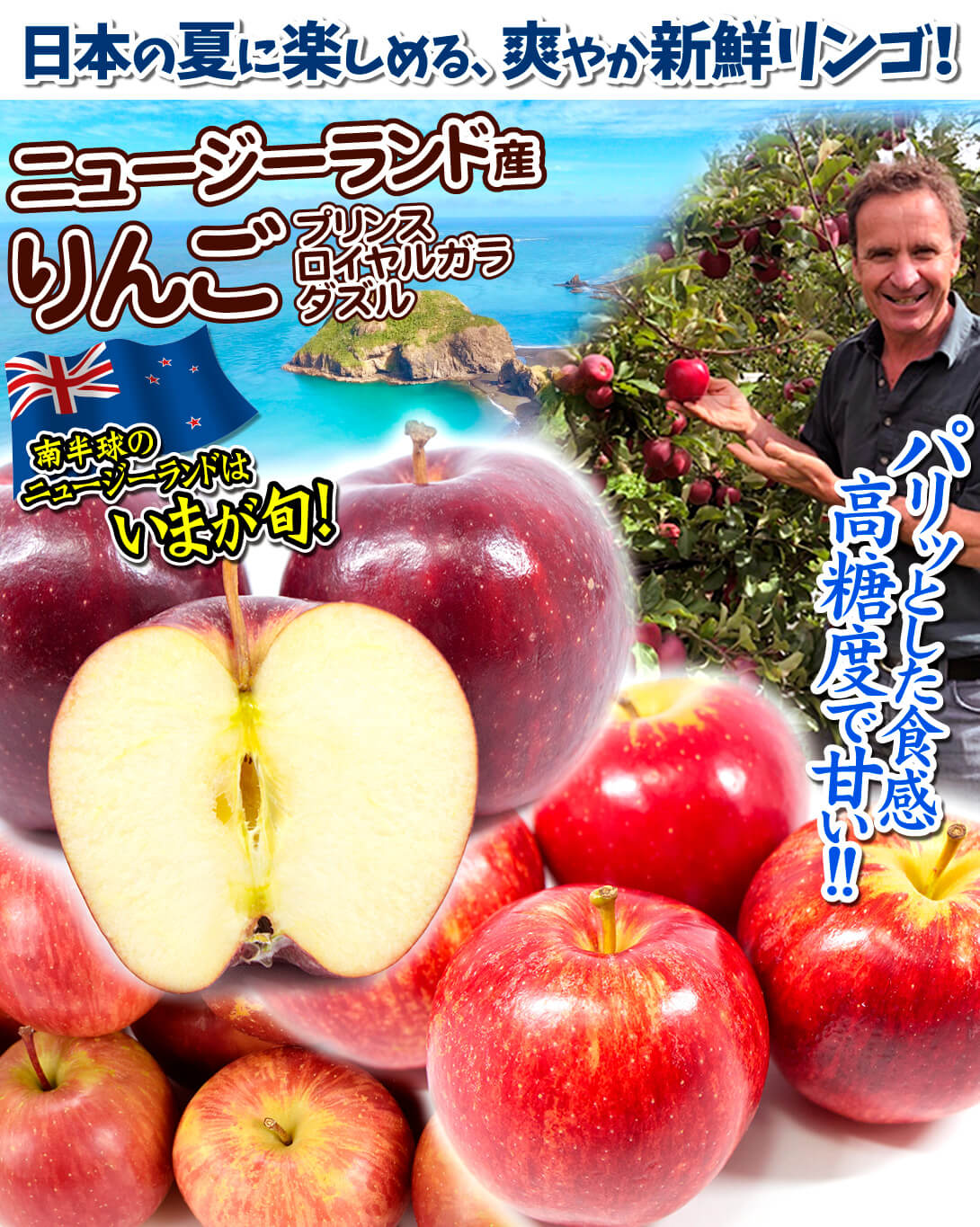 りんご 2kg ニュージーランド産りんご おまかせ 送料無料 食品 : 食