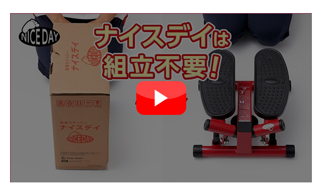 ショップジャパン（Shop Japan） 健康ステッパー ナイスデイ ハンドル